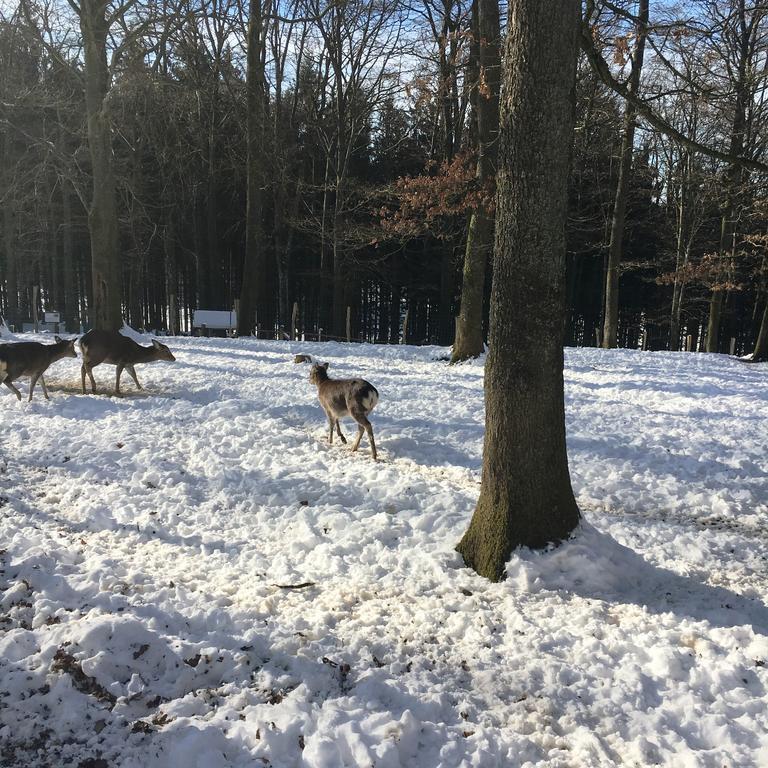 B&B La Ferme Du Doux リブラモン エクステリア 写真